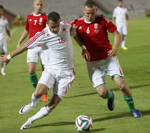 Albanien Gegen Schweiz Tipp